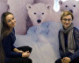 Stand presenting the polar bear