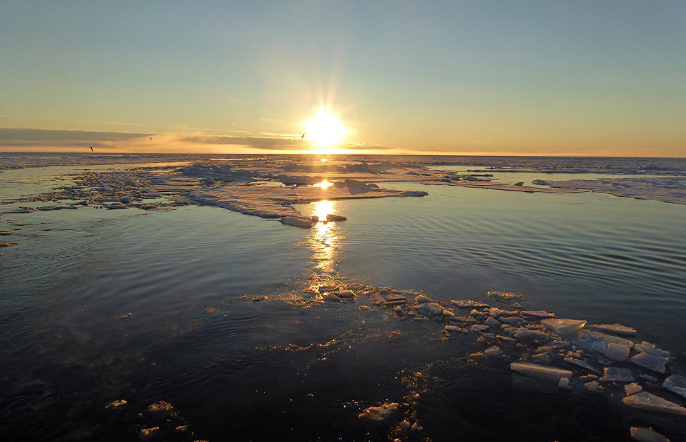 Arctic landscape