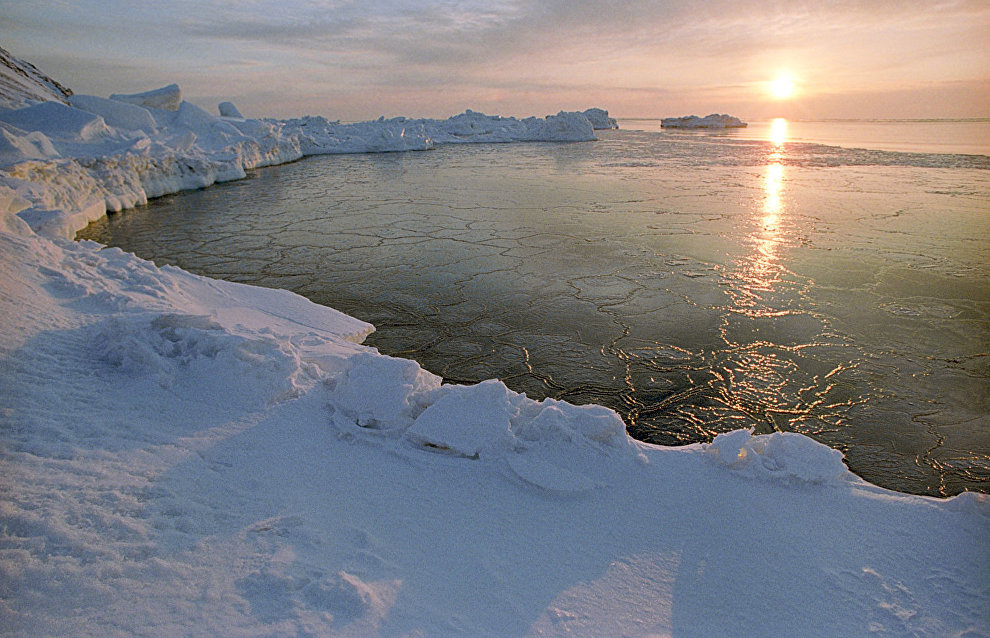 Donskoi: Russia’s Arctic regions could be hit hard by climate change
