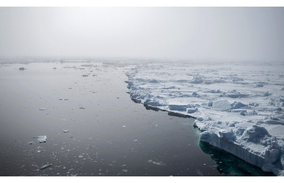 Donskoi: Season-round Arctic research station platforms to appear 10 years on
