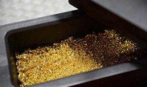 Chukotka mines over 27 metric tons of gold this year