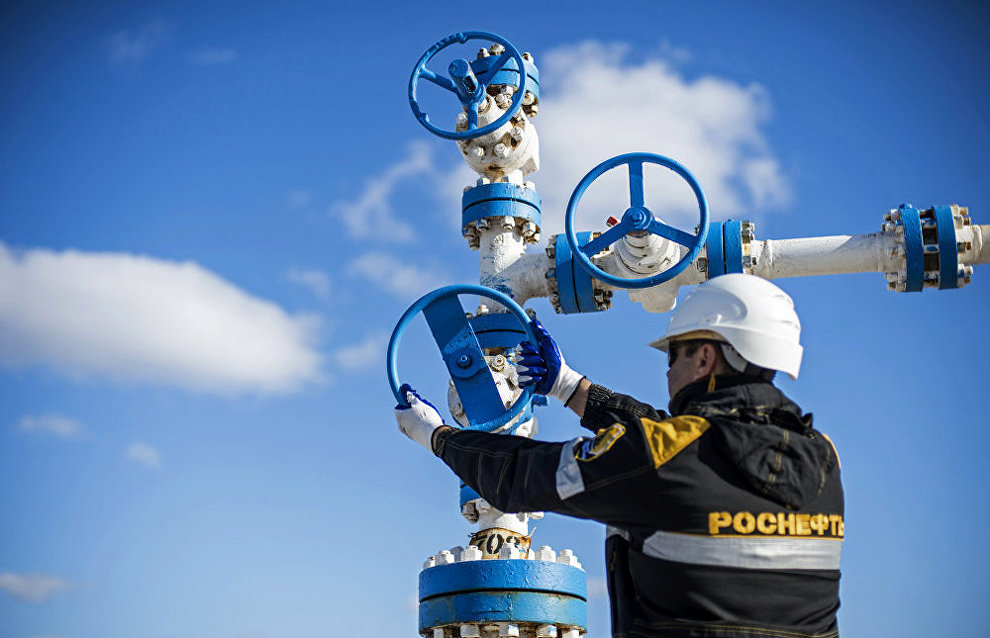 RAS Academician: Only 5 percent of mineral resources in the Russian Arctic have been explored so far