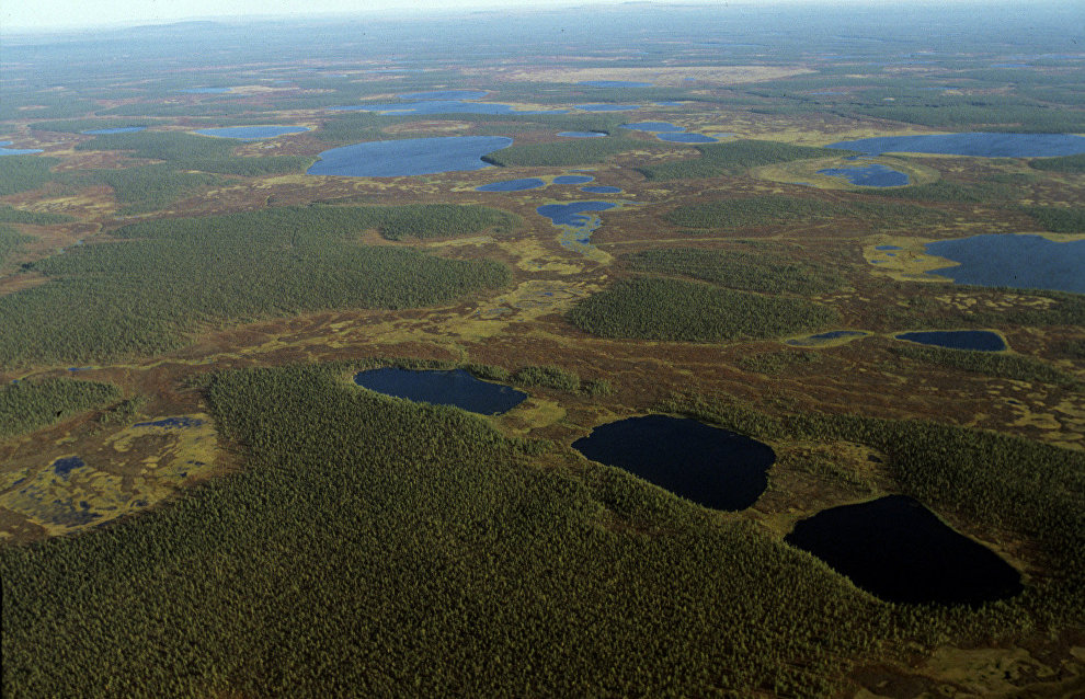 Taimyr to receive priority development area status