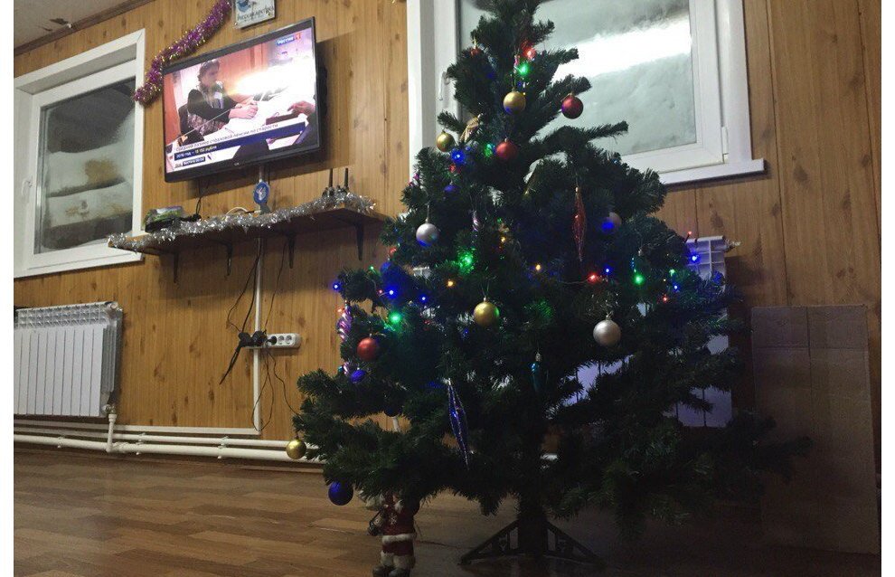 New Year tree on Alexandra Land