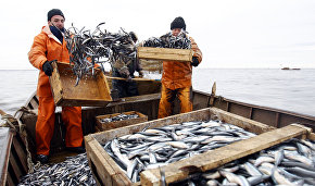 Norway ratifies a new agreement on fishing in the Arctic