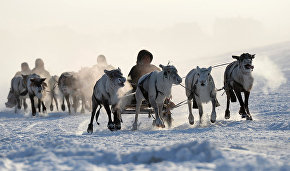 Reindeer-breeders and hunters to gather for 55th conference
