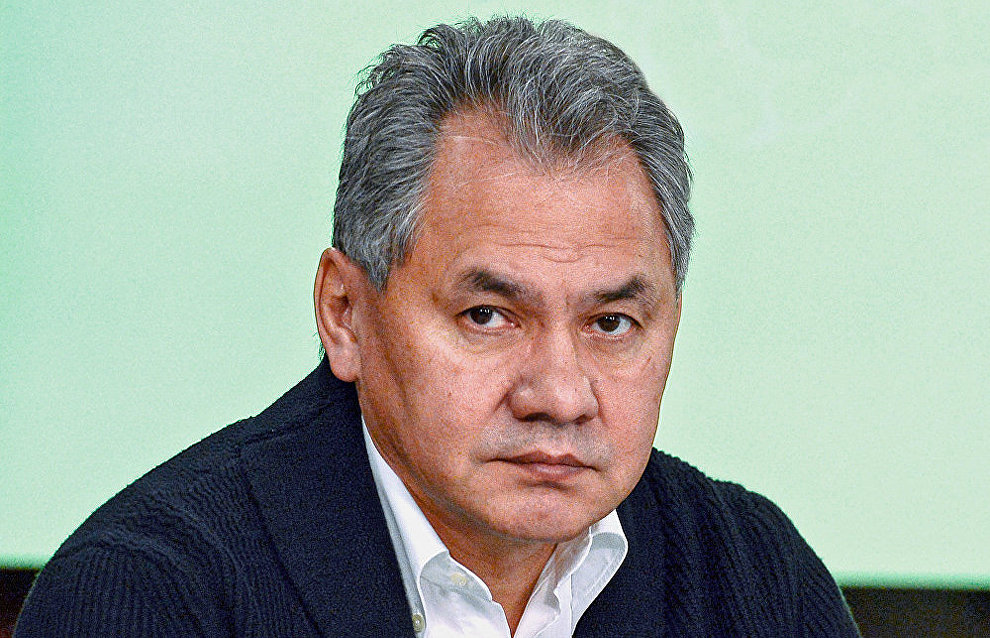 Shoigu: Construction of office, housing complexes wraps up in Arctic