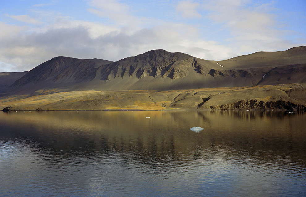 Butterflies sighted at northern edge of Novaya Zemlya for the first time