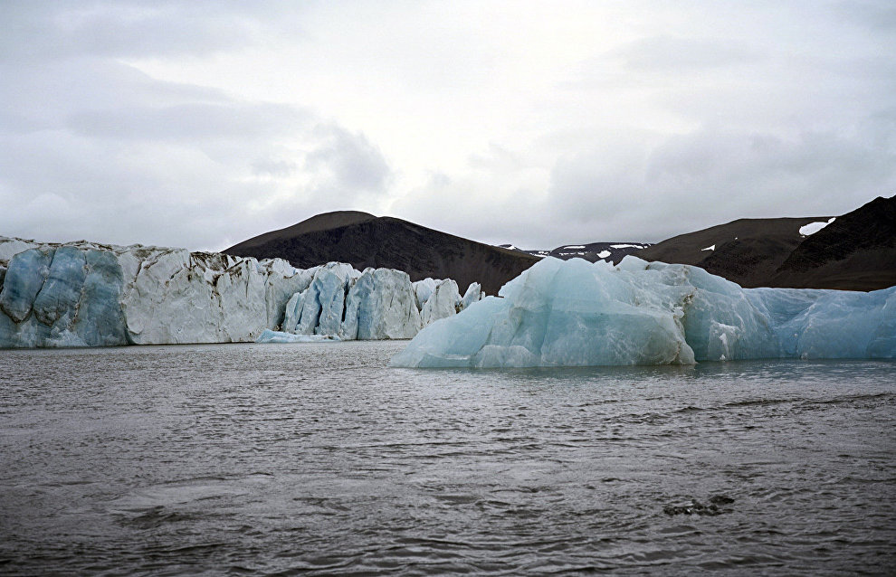Scientists discover snow algae speeding up Arctic glacier melting