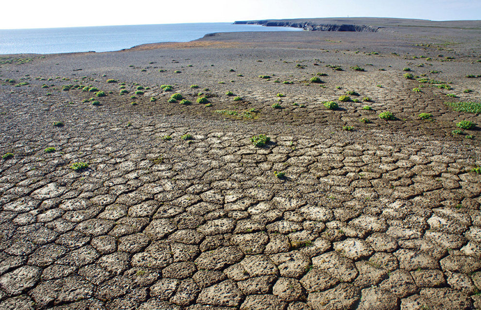 Novaya Zemlya soil. South of Novaya Zemlya Archipelago