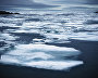 Ice fields closing in on a bay at Cape Sakhanin in the south of Novaya Zemlya. Late July 2015