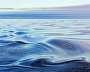 The Arctic Ocean