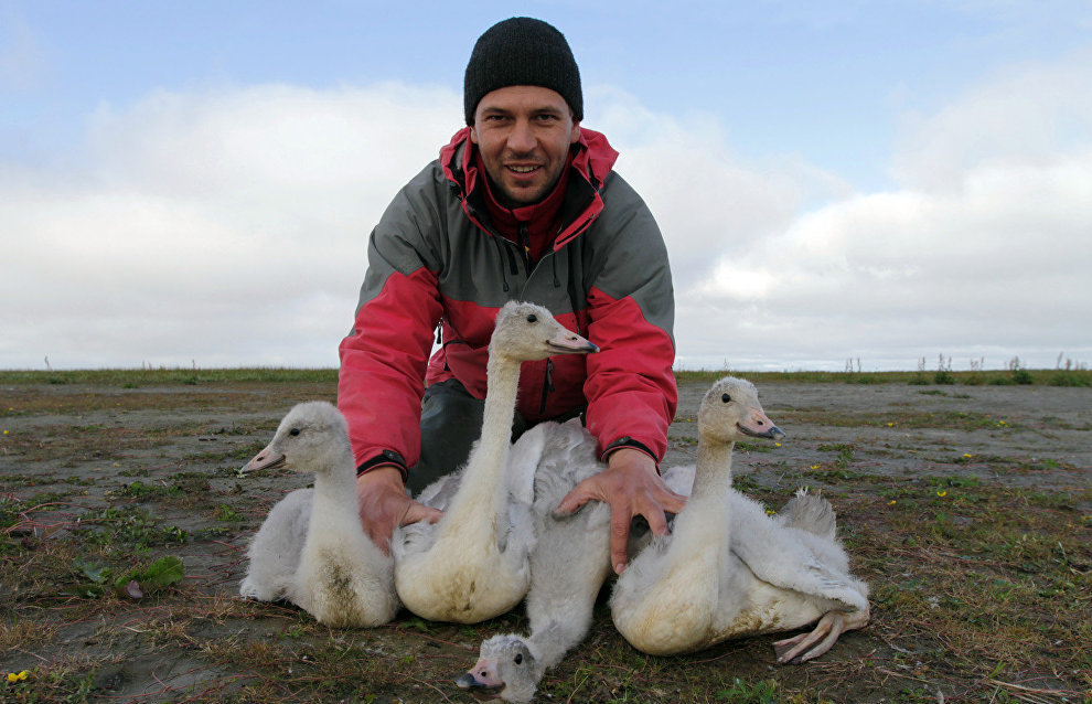 Ornithologist and biogeographer Pyotr Glazov
