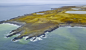 Arctic islands