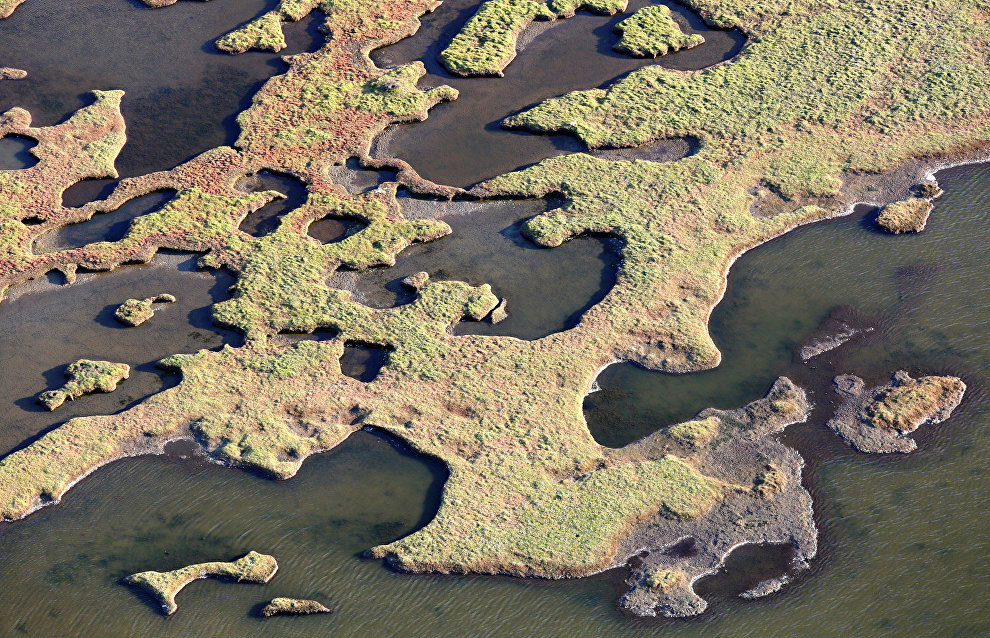 Wetlands