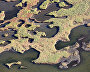 Wetlands
