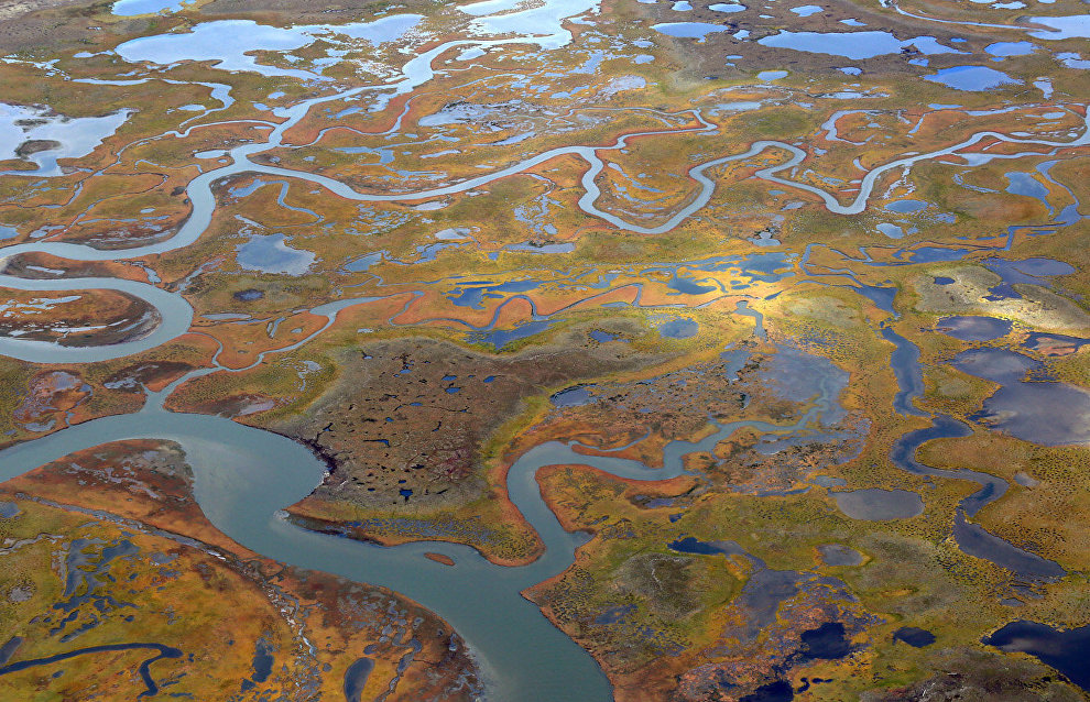 Wetlands