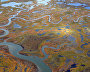 Wetlands