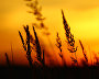 Sunset on Kost-Nos