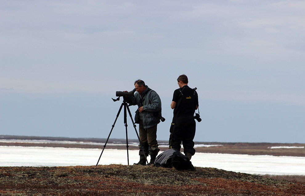 Birdwatching