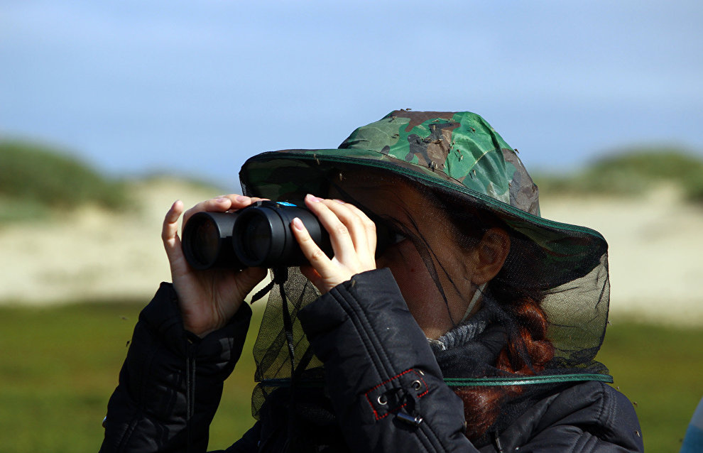 Birdwatching