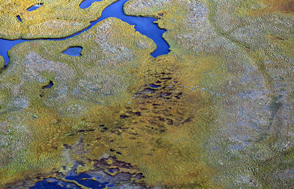 Tundra from a bird’s eye view