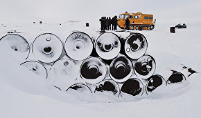 Russia to remove waste from 10-hectare Wrangel Island site