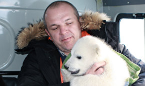 Alexander Gruzdev