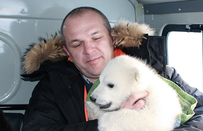 Александр Рудольфович Груздев