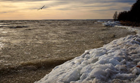 Russia to send an environmental expedition to Hogland