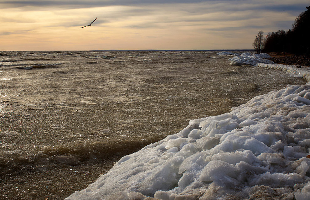 Russia to send an environmental expedition to Hogland