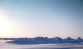 Petroleum giants relinquish interest in Arctic drilling licenses