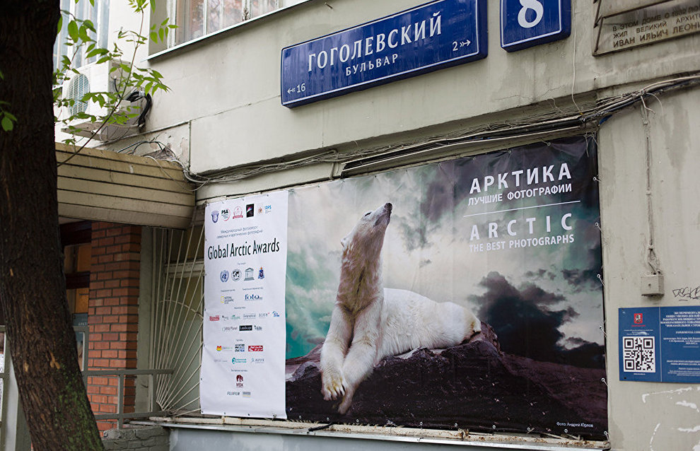 The Arctic: Best Photos of the Year exhibition opens