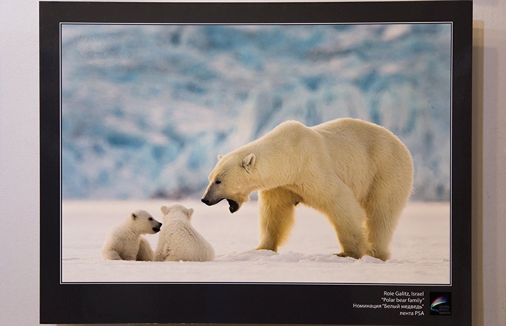 The Arctic: Best Photos of the Year exhibition opens