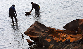 Servicemen to remove about 1,300 metric tons of scrap metal from Russian Arctic