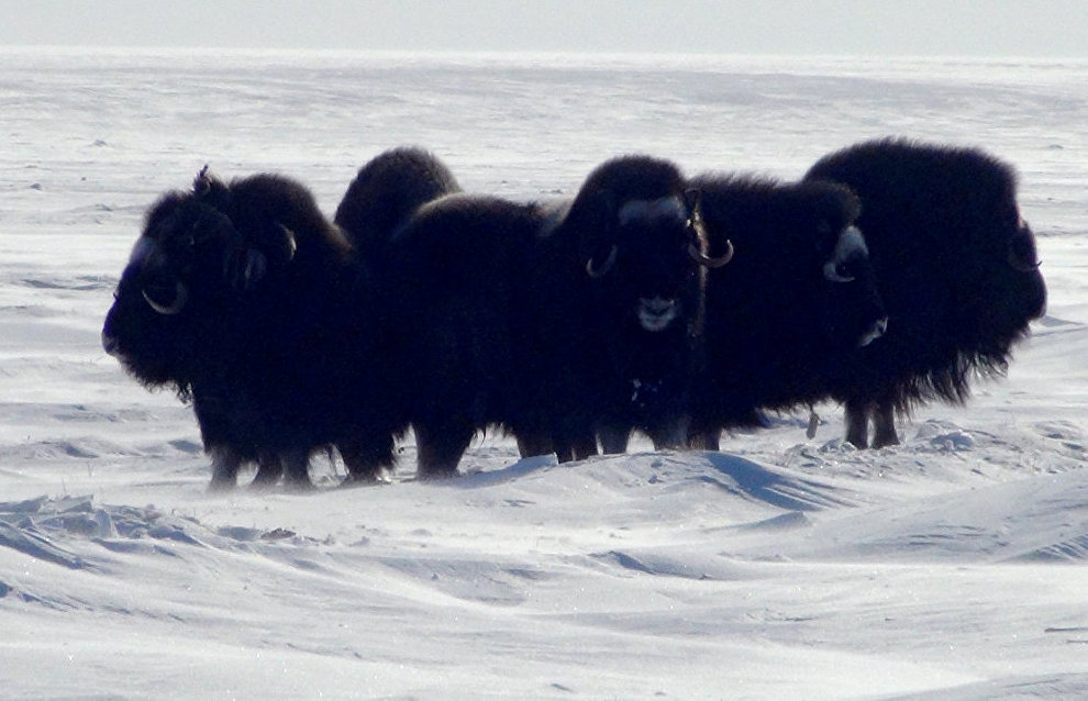 The Great Northern Route expedition