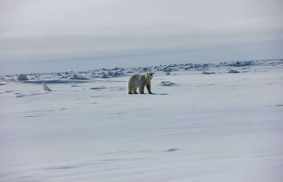 The Great Northern Route expedition
