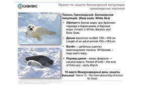 Webinar “Using satellite technology for the study and protection of Arctic mammals”