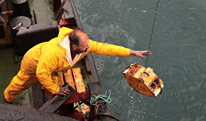 Remains of two sunken 19th century ships found in Krasnoyarsk Territory