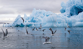 Iceberg in Tikhaya Harbor, Franz Josef Land, Russian Arctic National Park