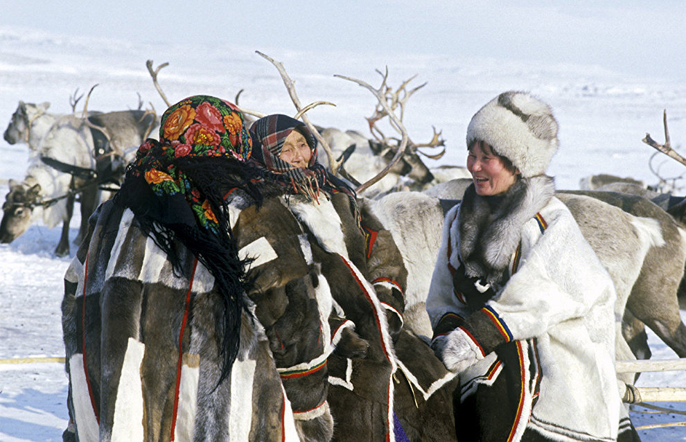 Ethno-Arctic accelerator program to kick off soon, join today!