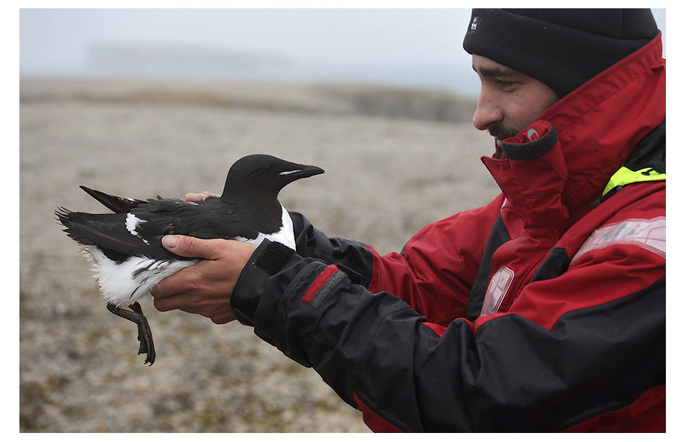 Zoologist Miroslav Babushkin