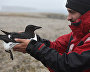 Zoologist Miroslav Babushkin
