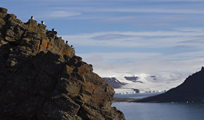 Russian Arctic: Shooting Walruses with Crossbows – for Science