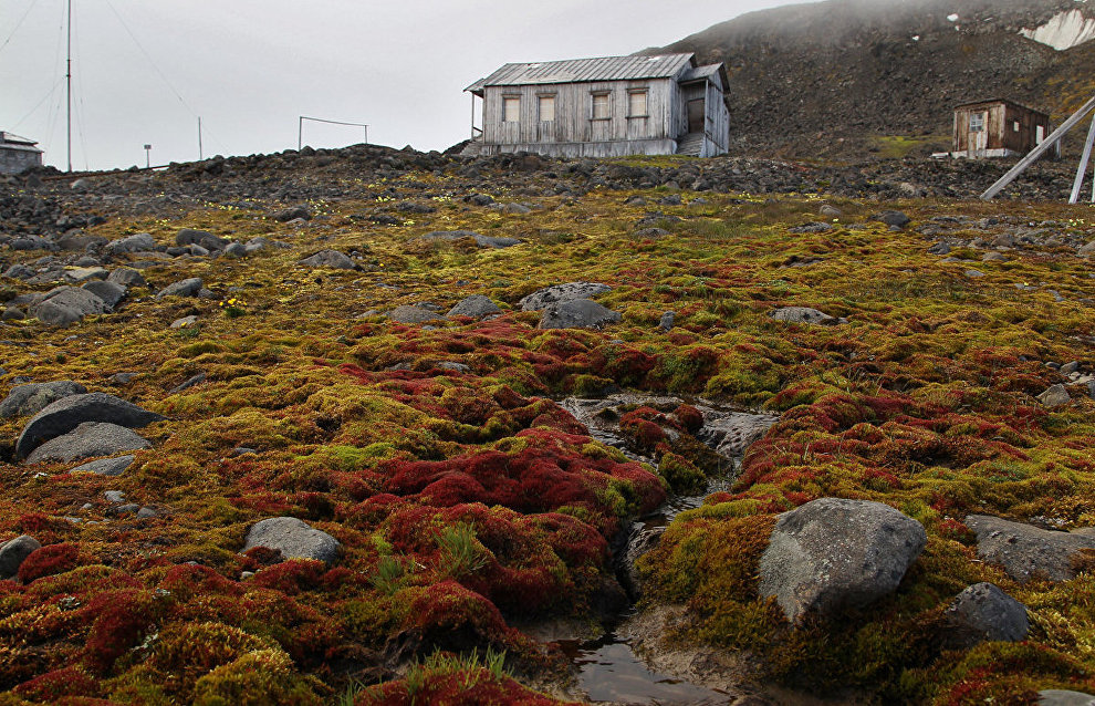 About a thousand tourists expected in Franz Josef Land in 2017