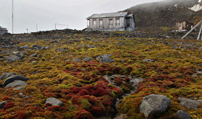 About a thousand tourists expected in Franz Josef Land in 2017