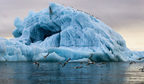 Rosneft to test technology controlling the movement of icebergs in the Arctic