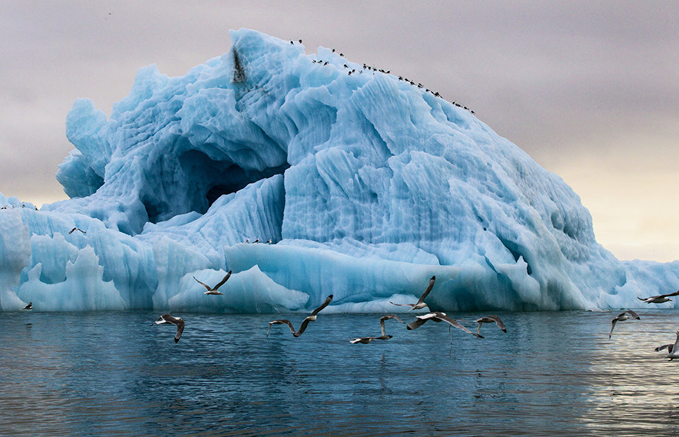Rosneft to test technology controlling the movement of icebergs in the Arctic