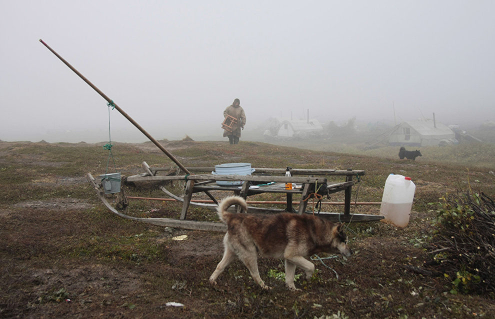 A reindeer-herding community on the Kanin Peninsula