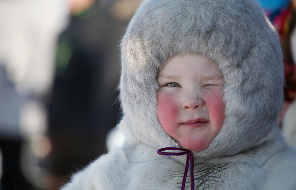 A reindeer-herding community on the Kanin Peninsula